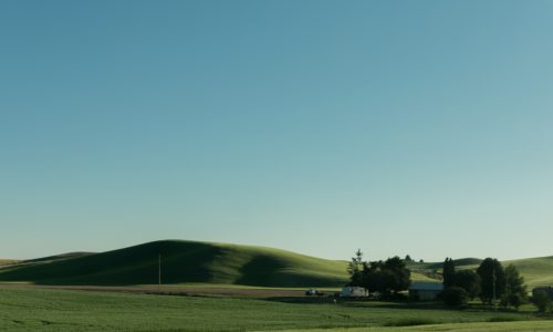 hills